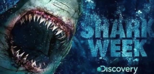 "Týden žraloků" na Discovery Channel a Animal Planet. 