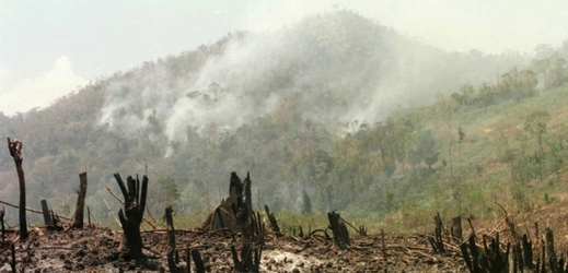 El Niňo zapříčinil i ničivý požár před několika lety na filipínském ostrově Palawan. 