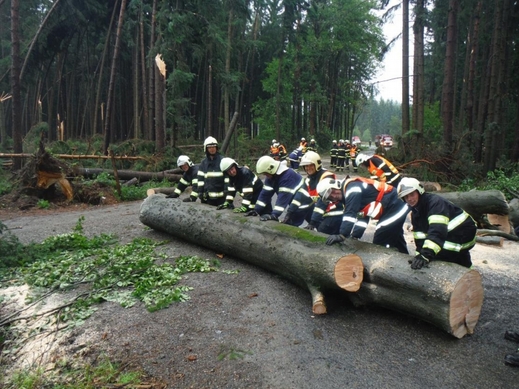 Popadané stromy v Seči u Lipové na Prostějovsku odstraňovalo po silném dešti sedm hasičských jednotek.