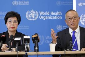 Z posledního jednání zástupců WHO vyplynulo, že ebola skutečně představuje mezinárodní hrozbu, proto byla vyhlášena pohotovost.