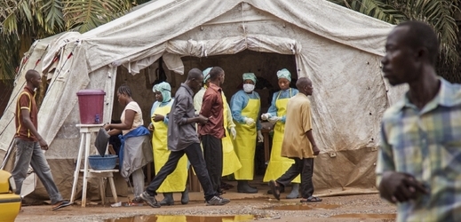 Podle informací WHO si epidemie eboly vyžádala již 1013 lidských životů.