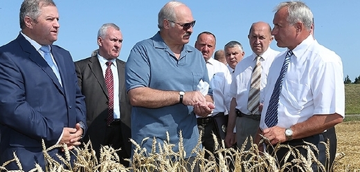 Prezident Lukašenko mezi zemědělci.