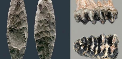 Vlevo: čepel, vpravo: zub mastodonta.