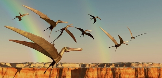 V Brazílii se našly fosílie dosud neznámého druhu ptakoještěrů (ilustrační foto).