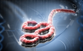 Digitální ilustrace ebola viru.