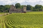 Stezka Grands Crus, Burgundsko, Francie. (Foto: Shutterstock.com)