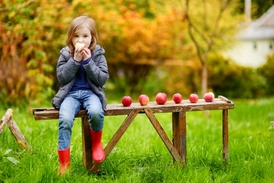 Polské děti nemůžou jablka už ani vidět (ilustrační foto).