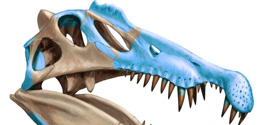Vodní dinosaurus měl nozdry uprostřed čenichu.