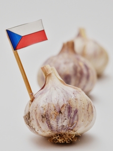 I potraviny rostlinného původu by měly mít označení, že byly vypěstovány v Česku (ilustrační foto).