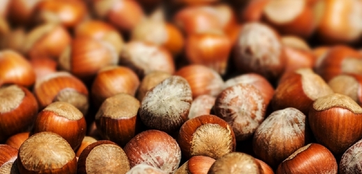 Turečtí pěstitelé lískových ořechů letos zažívají jednu z nejhorších sklizní vůbec (ilustrační foto).