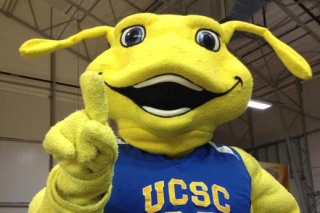 Banáno-slimáka si za svého maskota zvolili studenti Kalifornské univerzity.