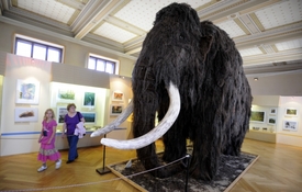 Přírodovědecká expozice v Národním muzeu.