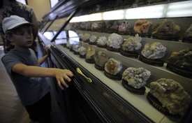 Malý návštěvník si prohlíží sbírky minerálů v Národním muzeu.