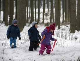 Děti v lesní školce.