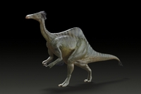 Vědci popsali celého dinosaura, z nějž zatím znali jen přední tlapy.