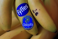 Brazilské společnosti převezmou distributora banánů Chiquita Brands.
