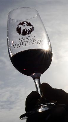 Letošní Svatomartinská vína jsou svěží a lehčí s nižším obsahem alkoholu.