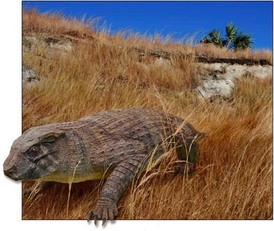 Býložravý madagaskarský krokodýl.