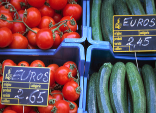Ovoce a zelenina z EU nesmějí do Ruska.
