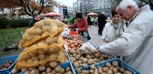 Nadúroda brambor sráží jejich cenu až na dvě koruny za kilogram.