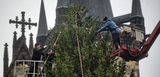 Dělníci už zdobí pražský vánoční strom.