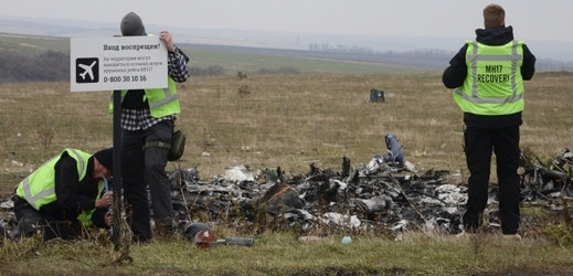 Trosky sestřeleného boeingu letu MH17 v místě dopadu na východní Ukrajině. 
