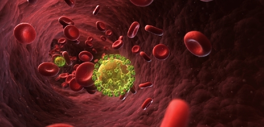 3D ilustrace viru HIV (ilustrační foto).