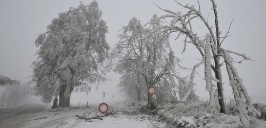 Silnice na Prostějovsku byla uzavřena kvůli nebezpečí pádu větví a stromů přetížených námrazou.