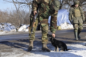 Na snímku z 3. prosince jsou příslušníci dobrovolnické jednotky ukrajinských vládních sil na hlídce v okolí Mariupolu. Voják vlevo je vyzbrojen automatickou puškou Simonov s dalekohledem.