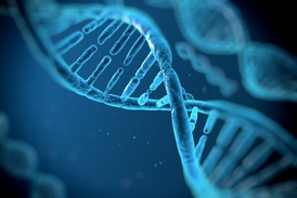 Řetězec DNA (ilustrační foto).