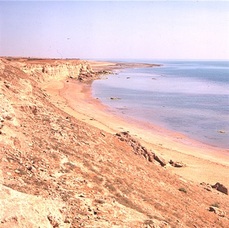 Pobřeží Perského zálivu.