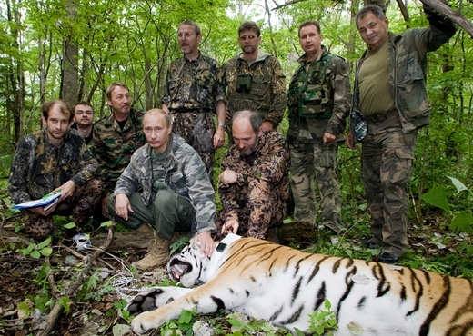 Vladimir Putin se s ohroženými tygry rád fotí.