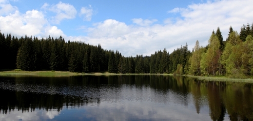 Žďárecké jezero na Šumavě.