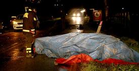 Devítiletá hrošice v Itálii zemřela po srážce s autem.