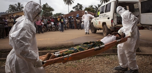 Nejvíce obětí si nemoc vyžádala v Sieře Leone, Libérii a Guineji.