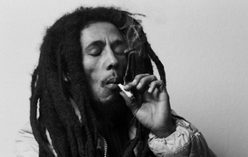 Bor Marley byl jamajský zpěvák, skladatel a kytarista, spoluzakladatel a významný představitel reggae a milovník konopí. Společnost Privateer Holdings nedávno oznámila rozjezd značky Marley Natural.