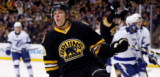 Osmnáctiletý útočník David Pastrňák bude ve zbytku hokejové sezony pokračovat v NHL.