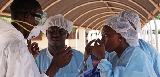 Vláda Mali oznámila likvidaci epidemie eboly (ilustrační foto).