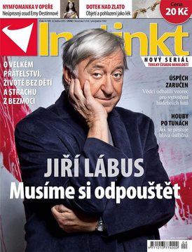 Časopis INSTINKT přináší i seriál o české historii.