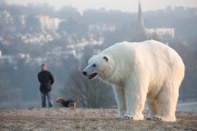 Jeho tvůrci strávili v rámci příprav několik dní studiem skutečných ledních medvědů.