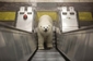 Medvěd se dokonce řídil pokyny, například na eskalátorech. 