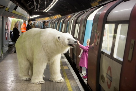 Londýnem se procházel lední medvěd.