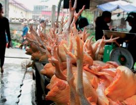 S hygienickými podmínkami si na vietnamských trzích hlavu moc nelámou. Syrové nechlazené maso je v tropických teplotách cítit všude kolem.