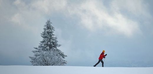Skvělé podmínky jsou nejen pro lyžaře, ale i pro běžkaře.