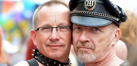 Strana Národní demokracie by ráda zorganizovala hlasování o právech homosexuálů v Česku (ilustrační foto).