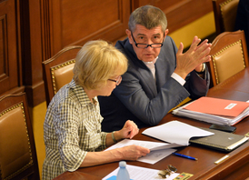 Zleva ministryně spravedlnosti Helena Válková (ANO) a ministr financí Andrej Babiš (ANO) na červnové schůzi Sněmovny 10. června 2014 v Praze.