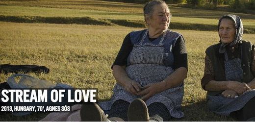 Dokument renomované maďarské dokumentaristky Ágnes Sol s názvem Stream of Love.