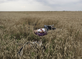 První místo v kategorii Spot News Stories. Snímek zachycuje ostatky pasažéra Boeingu 777 sestřeleného nad východě Ukrajiny v červenci 2014. Autorem je Jérôme Sessini.