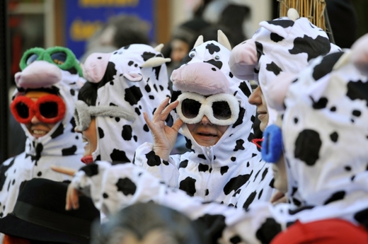 Vítězné krávy. Tedy masky krav.