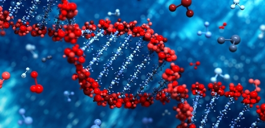 Lidská DNA (ilustrační foto).